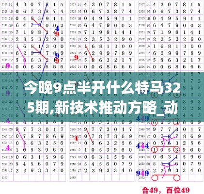 今晚9點半開什么特馬325期,新技術推動方略_動態(tài)版YTQ7.99