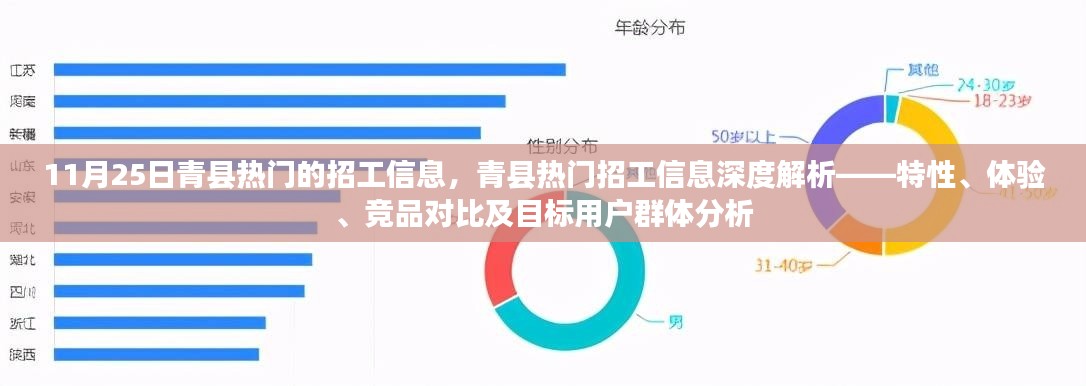 青縣熱門招工信息解析，特性、體驗(yàn)、競(jìng)品對(duì)比與目標(biāo)用戶群體深度剖析（XXXX年）