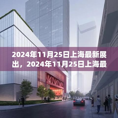 2024年11月25日上海最新展出產(chǎn)品深度評測與介紹