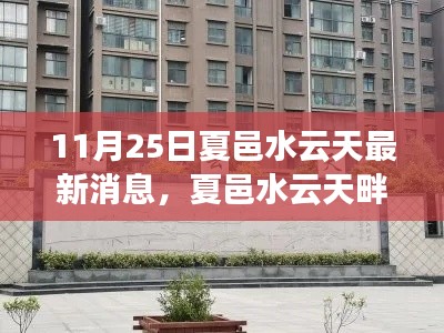夏邑水云天畔的秋日友情之旅，最新消息與溫馨日常