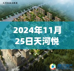天河悅城最新動(dòng)態(tài)，2024年11月25日的溫馨日常與趣事