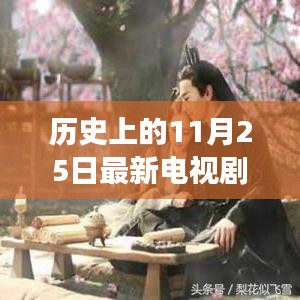 心向遠(yuǎn)方，追尋自然美景的電視劇之旅，手機(jī)在線觀看，歷史11月25日