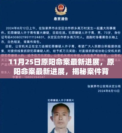 揭秘原陽(yáng)命案最新進(jìn)展，案件背后的故事浮出水面