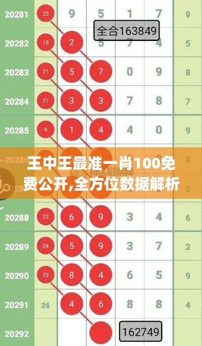 王中王最準(zhǔn)一肖100免費(fèi)公開(kāi),全方位數(shù)據(jù)解析表述_線上版WDK13.51