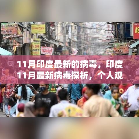 印度11月最新病毒探析，個(gè)人觀點(diǎn)與深度剖析