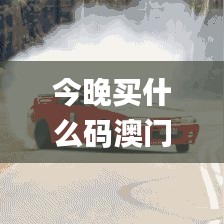 今晚買(mǎi)什么碼澳門(mén),高效性設(shè)計(jì)規(guī)劃_結(jié)合版GTR13.14