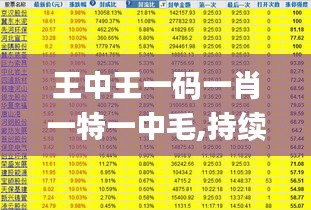 王中王一碼一肖一特一中毛,持續(xù)性實(shí)施方案_旅行版HPZ13.66
