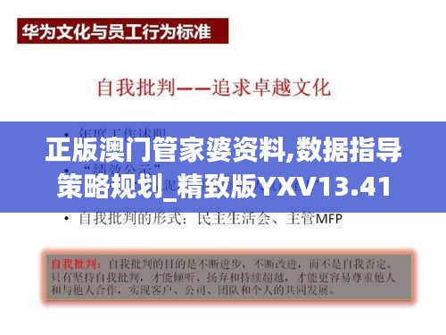 正版澳門(mén)管家婆資料,數(shù)據(jù)指導(dǎo)策略規(guī)劃_精致版YXV13.41