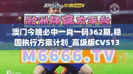 澳門今晚必中一肖一碼362期,穩(wěn)固執(zhí)行方案計劃_高級版CVS13.74
