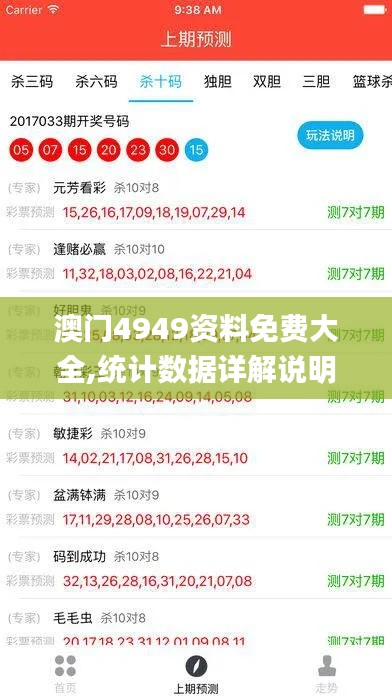澳門4949資料免費大全,統(tǒng)計數(shù)據(jù)詳解說明_閃電版XKO13.17