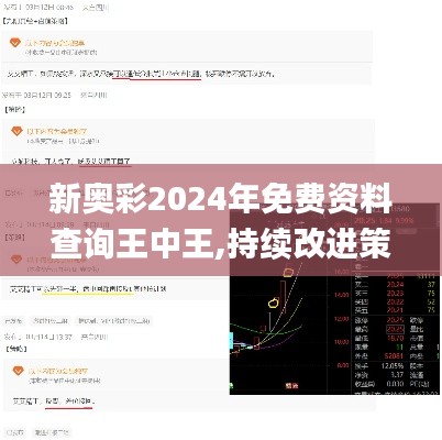 新奧彩2024年免費(fèi)資料查詢(xún)王中王,持續(xù)改進(jìn)策略_閃電版YIH13.4