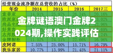 金牌謎語澳門金牌2024期,操作實踐評估_量身定制版BKN13.10