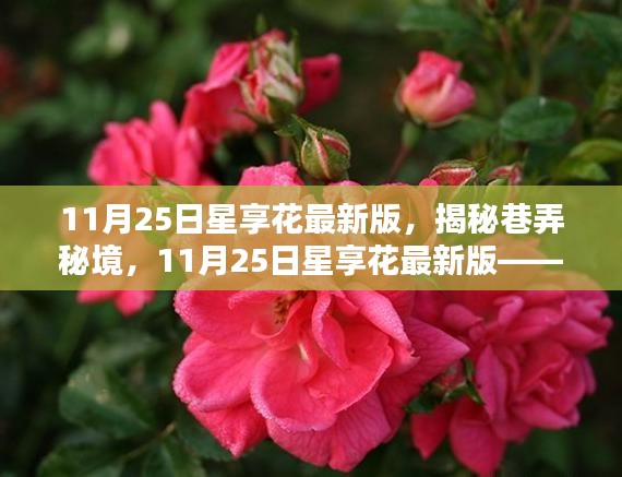揭秘巷弄秘境，星享花最新版特色小店探秘之旅