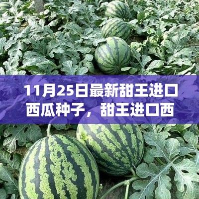 最新甜王進(jìn)口西瓜種子，感受成長之甜與變化之力