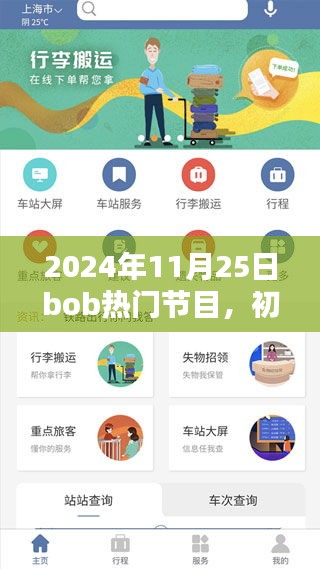 初學者與進階用戶觀看指南，Bob熱門節(jié)目詳細步驟及精彩內(nèi)容回顧（2024年11月25日）
