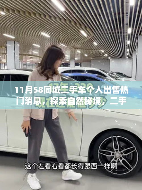 11月58同城二手車交易之旅，遠(yuǎn)離塵囂，探索自然秘境的熱門選擇