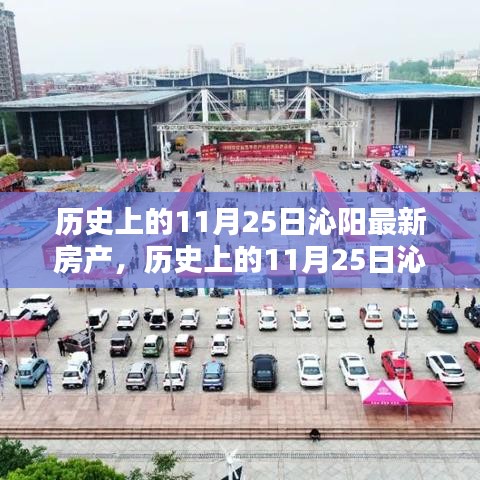 歷史上的11月25日沁陽(yáng)房產(chǎn)深度評(píng)測(cè)與最新介紹