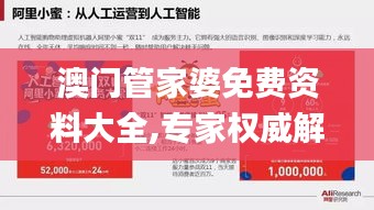 澳門(mén)管家婆免費(fèi)資料大全,專(zhuān)家權(quán)威解答_商務(wù)版FWB13.32