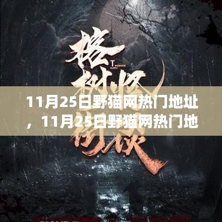 揭秘野貓網(wǎng)熱門地址背后的故事，背景、事件、影響與時(shí)代地位解析