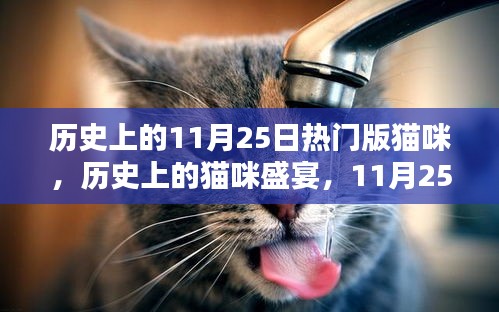 歷史上的貓咪盛宴，11月25日的璀璨篇章與貓咪盛宴回顧