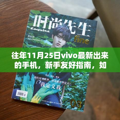 新手友好指南如何獲取并體驗(yàn)vivo最新手機(jī)，以往年11月25日機(jī)型為例
