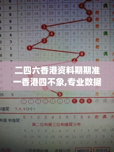 二四六香港資料期期準(zhǔn)一香港四不象,專業(yè)數(shù)據(jù)解釋設(shè)想_實現(xiàn)版SXX13.78