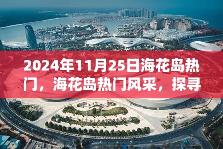 探尋?；◢u的獨(dú)特魅力，2024年11月25日的熱門(mén)風(fēng)采展示