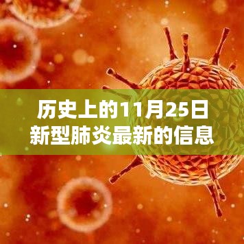 歷史上的11月25日，新型肺炎最新信息深度解析與回顧