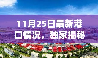 獨(dú)家揭秘，智能港口大腦重塑港口新紀(jì)元——最新港口情況報(bào)道（11月25日）