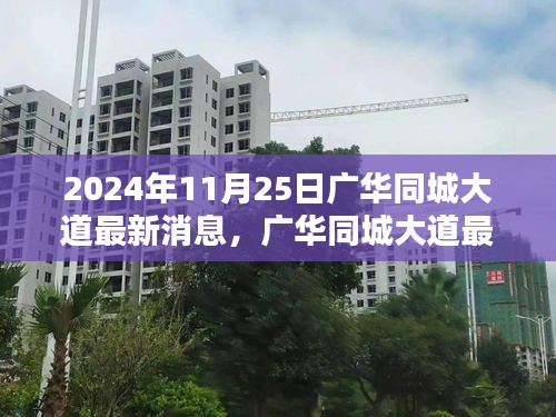 廣華同城大道最新動態(tài)及全面指南，獲取與理解相關(guān)信息的途徑與解讀方法