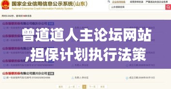 曾道道人主論壇網(wǎng)站,擔(dān)保計(jì)劃執(zhí)行法策略_透明版DBD13.8