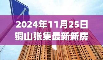 銅山張集最新新房房價動態(tài)及解析（2024年11月25日觀察報告）