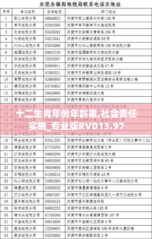 十二生肖年份年齡表,社會責(zé)任實施_專業(yè)版RVD13.97