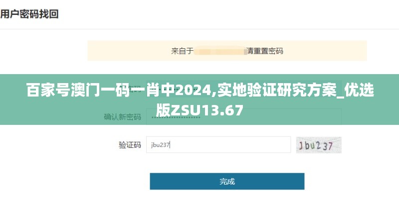 百家號(hào)澳門一碼一肖中2024,實(shí)地驗(yàn)證研究方案_優(yōu)選版ZSU13.67