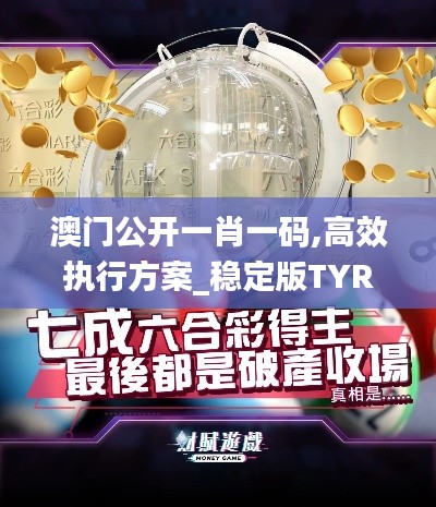 澳門公開一肖一碼,高效執(zhí)行方案_穩(wěn)定版TYR13.56