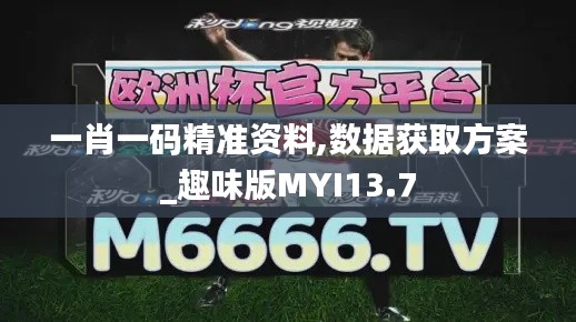 一肖一碼精準資料,數(shù)據(jù)獲取方案_趣味版MYI13.7