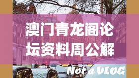 澳門(mén)青龍閣論壇資料周公解夢(mèng),目前現(xiàn)象解析描述_明星版BRL13.79