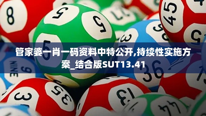 管家婆一肖一碼資料中特公開,持續(xù)性實施方案_結合版SUT13.41