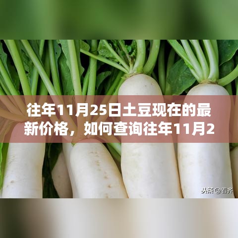 坌鳥先飛 第5頁