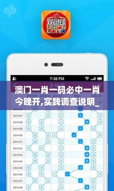 澳門一肖一碼必中一肖今晚開(kāi),實(shí)踐調(diào)查說(shuō)明_權(quán)限版ABM13.77