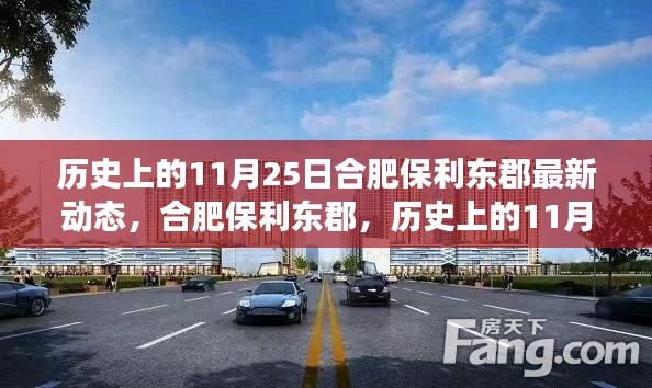 合肥保利東郡，歷史上的11月25日最新動態(tài)解讀
