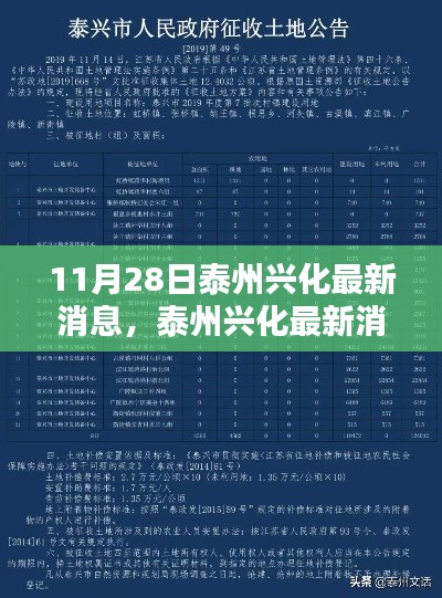 泰州興化最新消息匯總，聚焦要點(diǎn)解析（11月28日更新版）