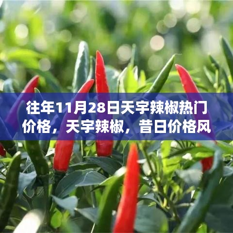 天宇辣椒熱門價格揭秘，昔日價格風(fēng)云回顧與影響分析