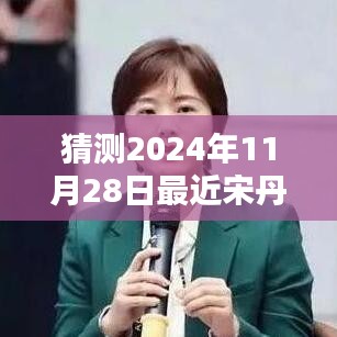 宋丹丹新劇預測指南，揭秘2024年11月28日最新電視劇猜測與期待！