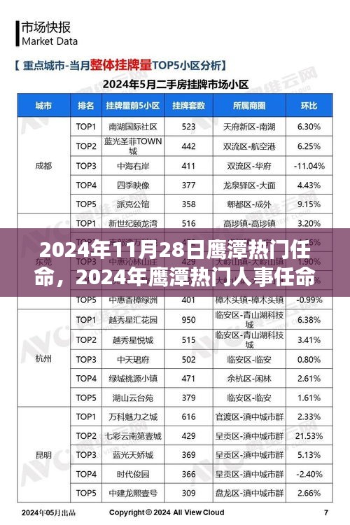 鷹潭人事任命揭秘，新任領導者的潛力與未來展望