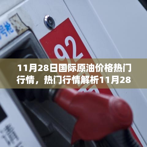 11月28日國際原油熱門行情解析，洞悉市場波動與應對策略