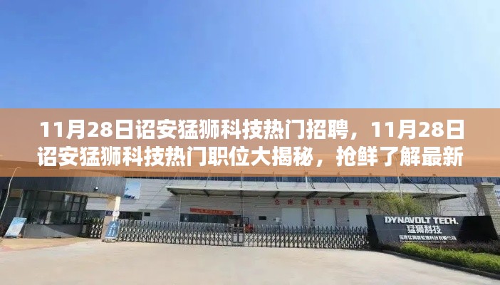 詔安猛獅科技最新招聘風(fēng)向揭秘，熱門職位搶鮮看