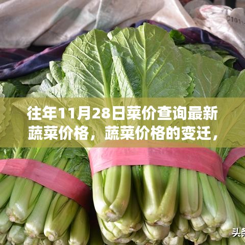 尋找自信與成就感的種子，蔬菜價格的變遷與歷年11月28日最新菜價查詢