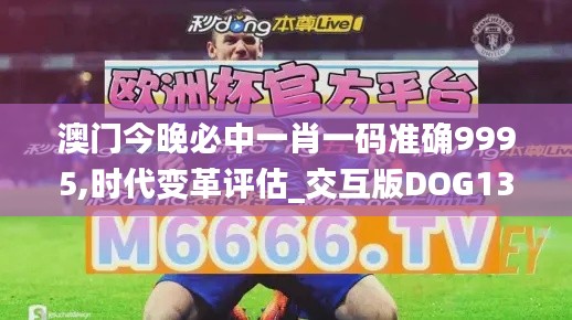 澳門(mén)今晚必中一肖一碼準(zhǔn)確9995,時(shí)代變革評(píng)估_交互版DOG13.74