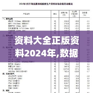 資料大全正版資料2024年,數據解釋說明規(guī)劃_SE版CBE13.41